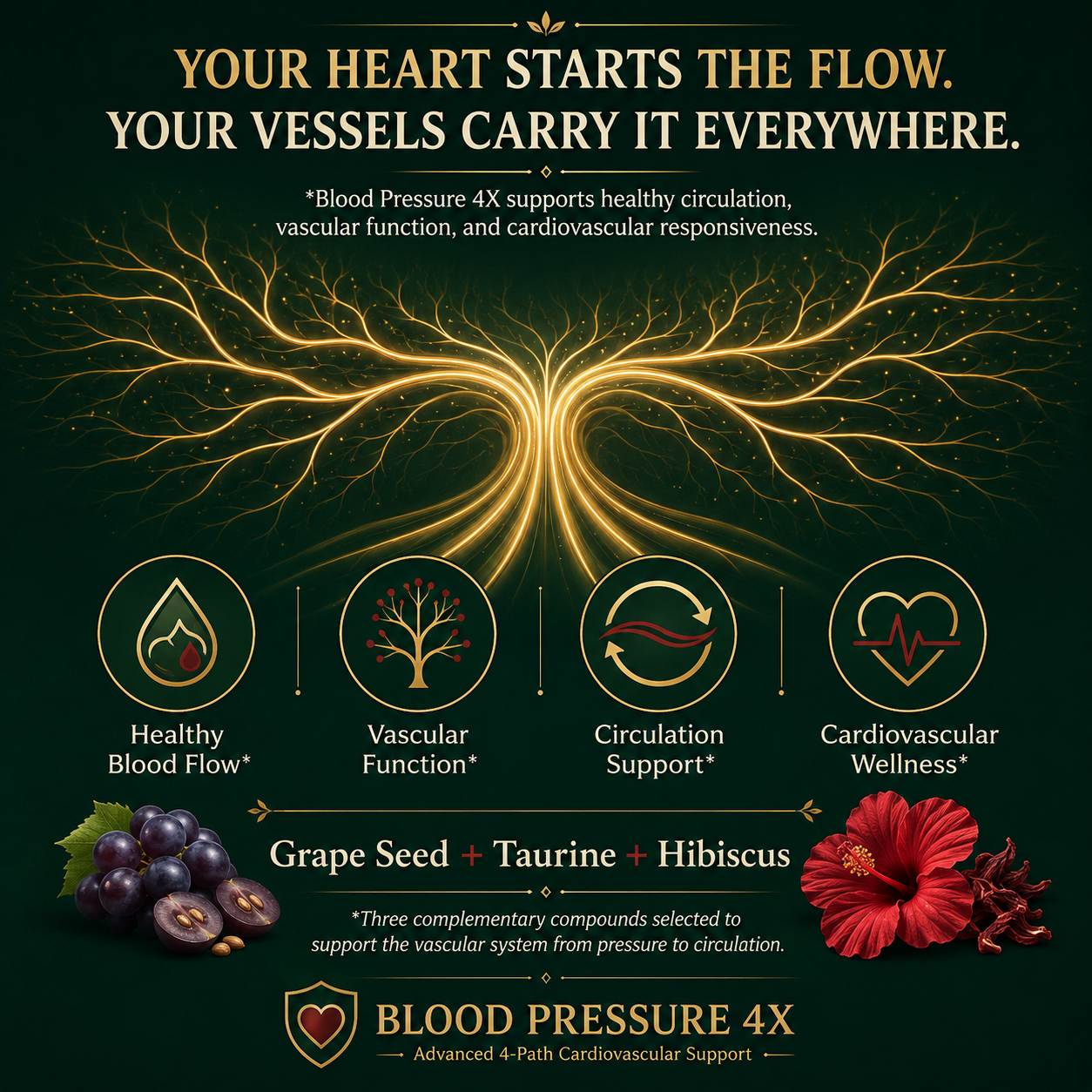 Avirae Blood Pressure 4X